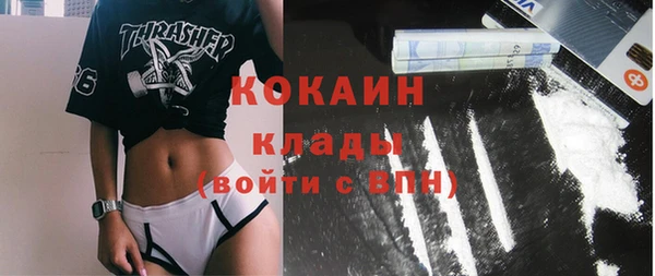 дживик Дмитров