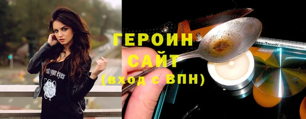 соль ск Дмитриев