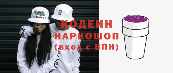 соль ск Дмитриев