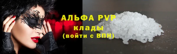дживик Дмитров
