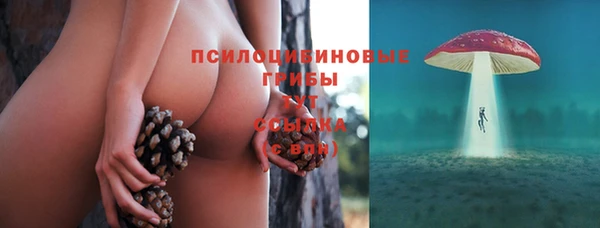бошки Дмитровск