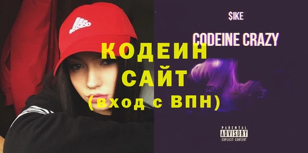 соль ск Дмитриев