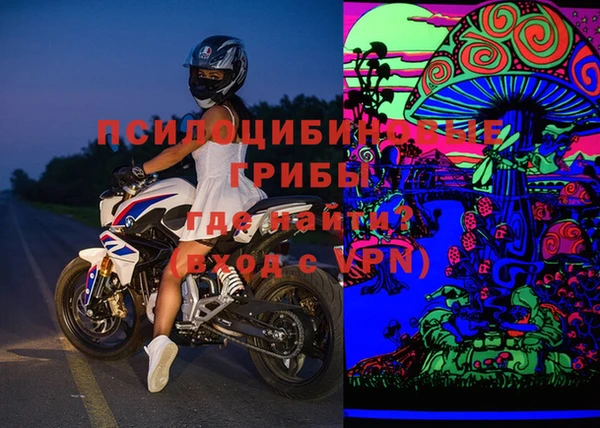 соль ск Дмитриев