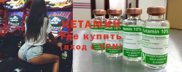 соль ск Дмитриев