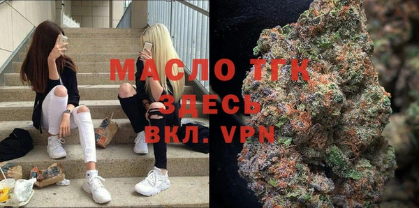соль ск Дмитриев
