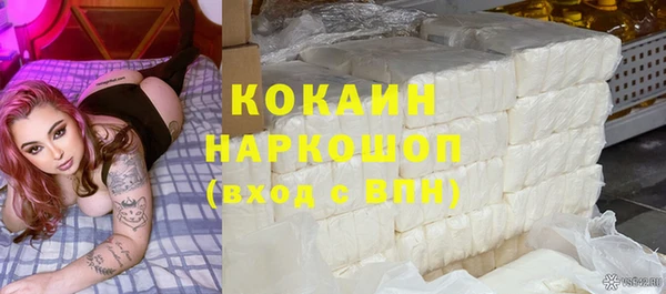 соль ск Дмитриев