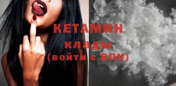 соль ск Дмитриев