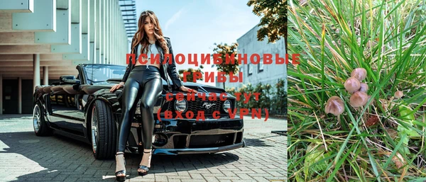 соль ск Дмитриев