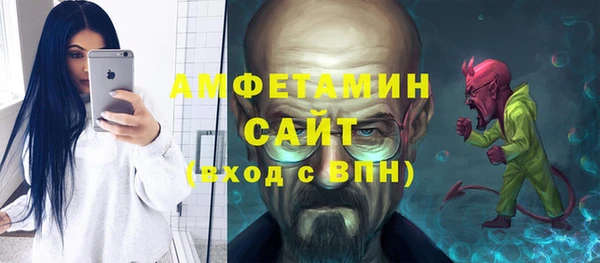 соль ск Дмитриев