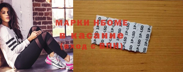 соль ск Дмитриев