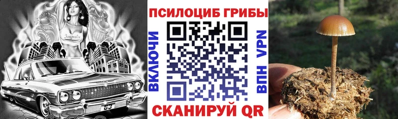 Галлюциногенные грибы Psilocybine cubensis  Купить где  Радужный 