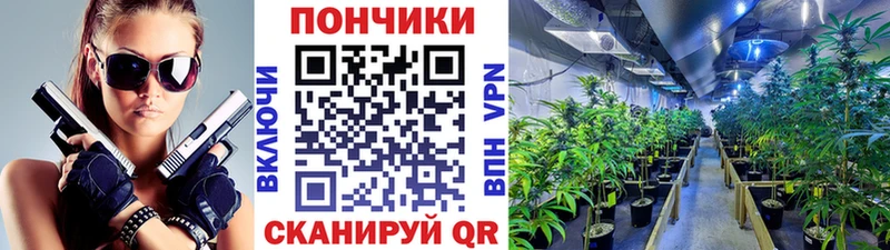 МАРИХУАНА OG Kush  Купить где  Радужный 